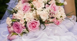 shutterstock_41951236